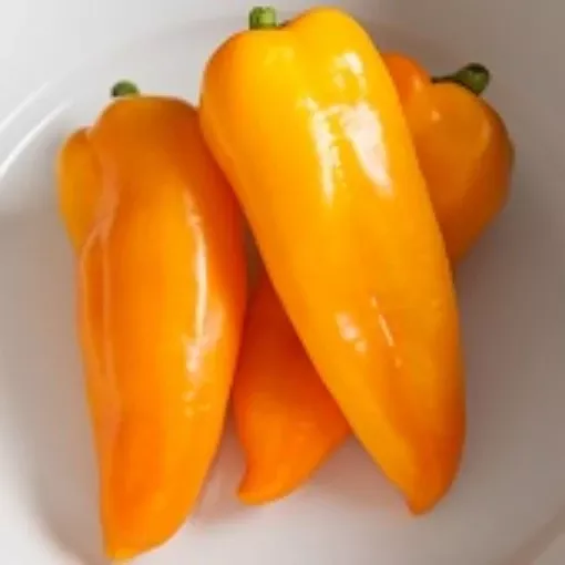 Cornito Giallo Pepper Seeds
