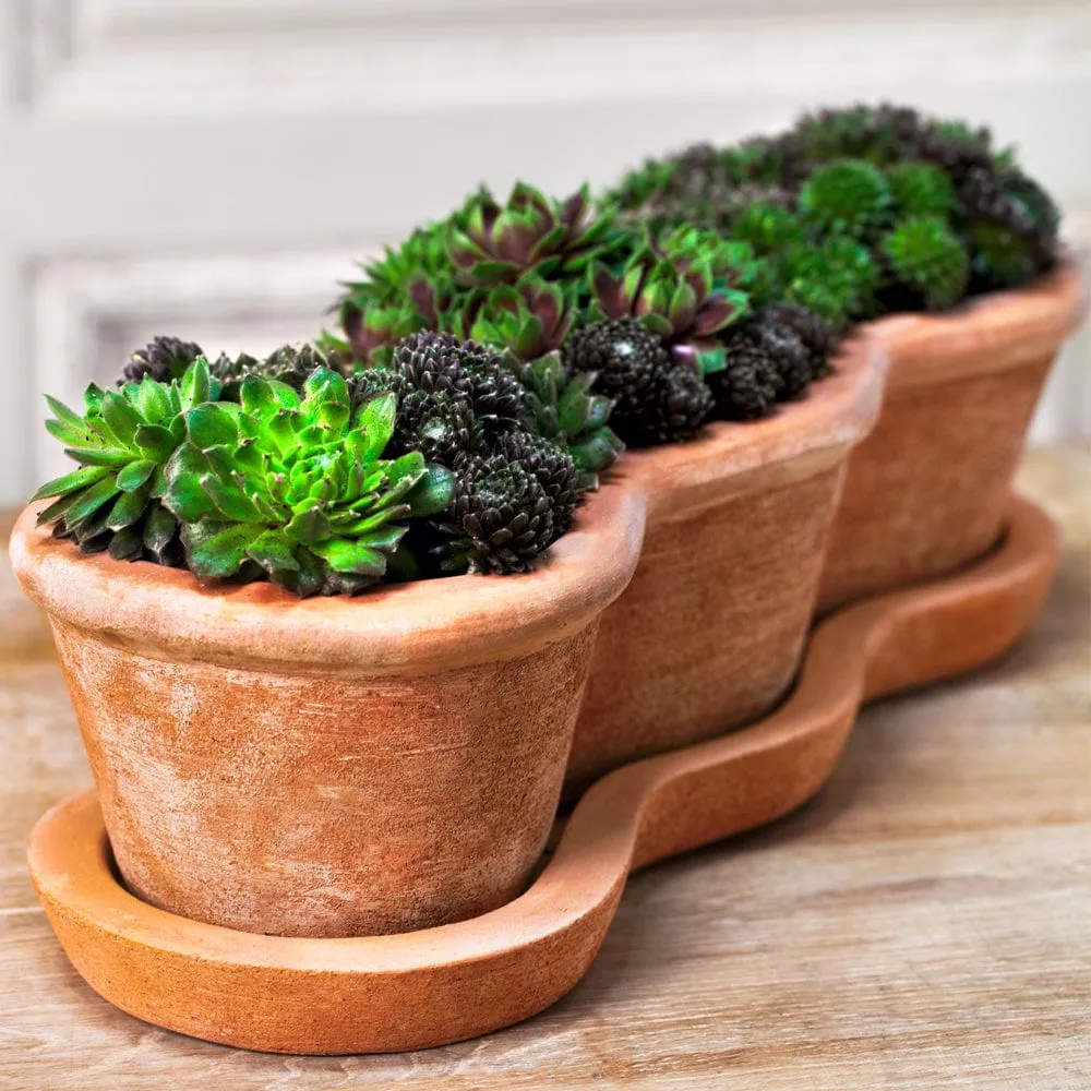 costa-planter-set-3-terra-cotta-collection Costa Planter Set of 3 | Terra Cotta Collection