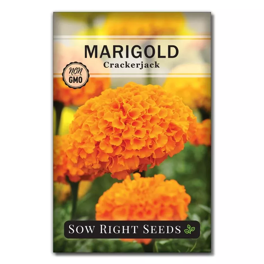 Crackerjack African Marigold Seeds