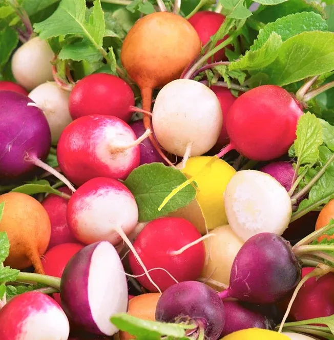 crayon-colors-mix-radish Crayon Colors Mix Radish