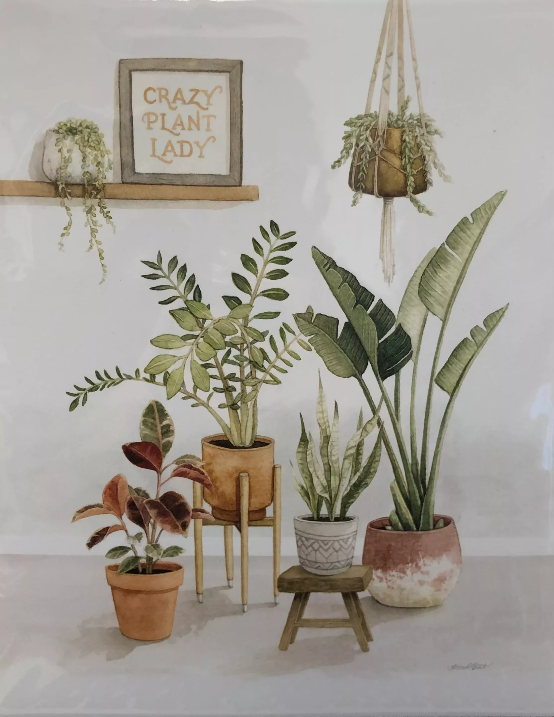 crazy-plant-lady-print Crazy Plant Lady Print