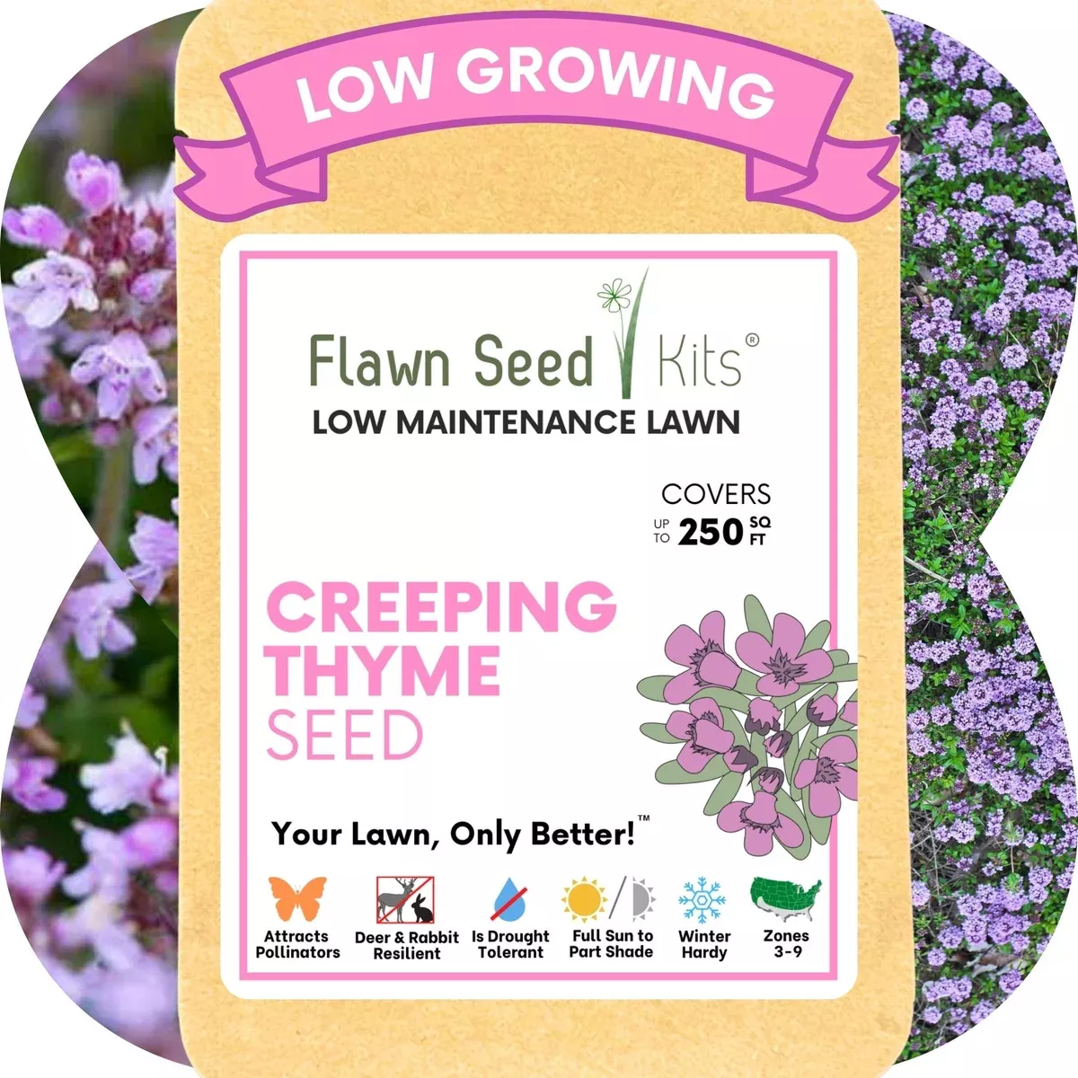 Creeping Thyme Seed Pouch