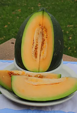 Crenshaw Melon