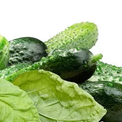 crispy-crunchy-hybrid-cucumber Crispy Crunchy Hybrid Cucumber