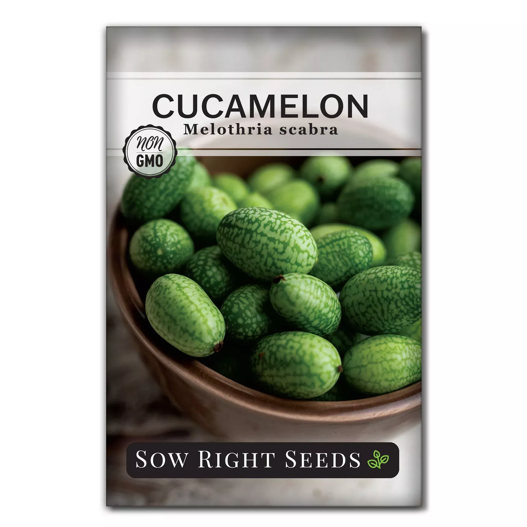 cucamelon Cucamelon