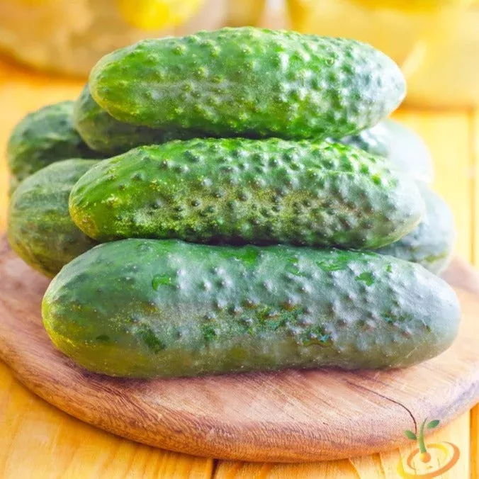 cucumber-homemade-pickles-seeds Cucumber - Homemade Pickles seeds