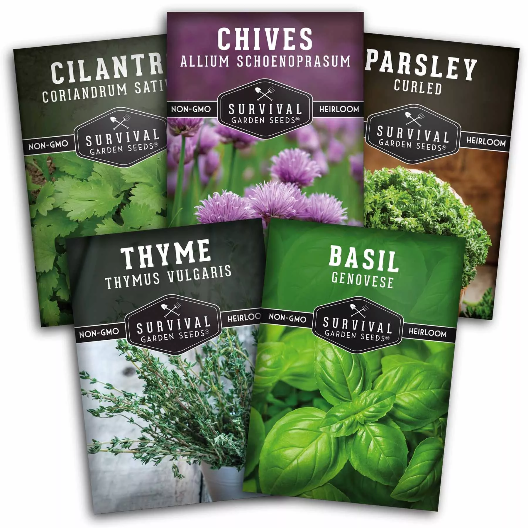 culinary-herb-seed-collection-5-essential-kitchen-herbs-indoor-or-outdoor-growin Culinary Herb Seed Collection – 5 Essential Kitchen Herbs for Indoor or Outdoor Growing