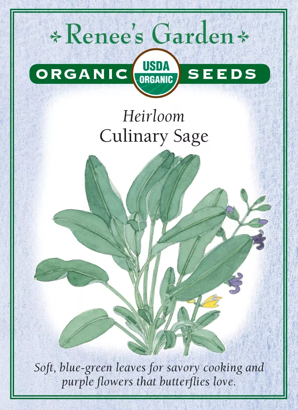 culinary-sage-organic Culinary Sage Organic