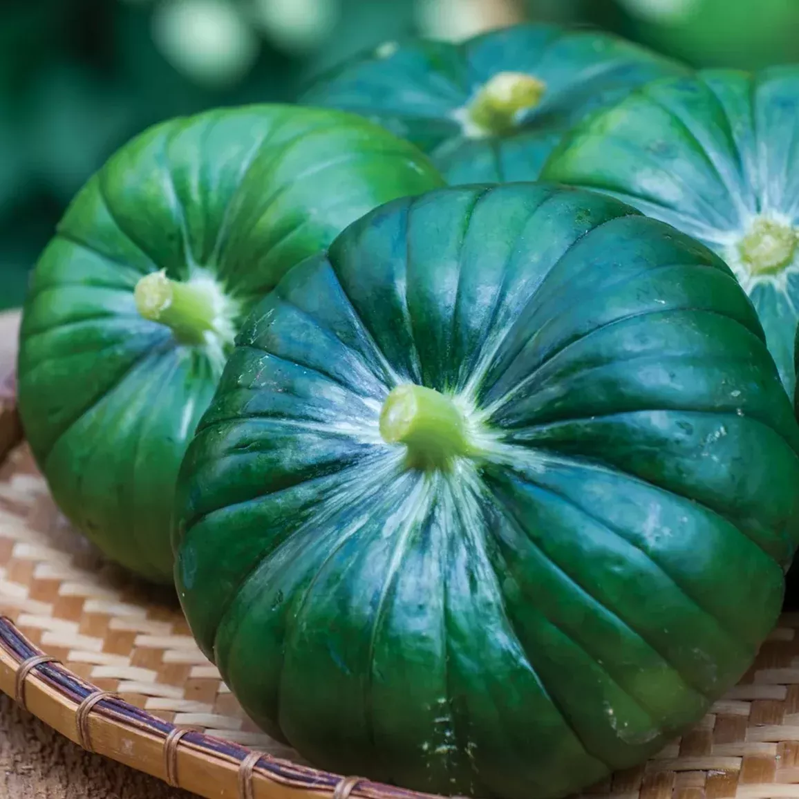 cupcake-squash Cupcake Squash