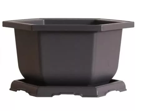 cz-grain-large-hexagonal-bonsai-pot-drip-tray-11-inch-container-with-tray-1-pot CZ Grain Large Hexagonal Bonsai Pot and Drip Tray – 11 inch Container with Tray (1 Pot)