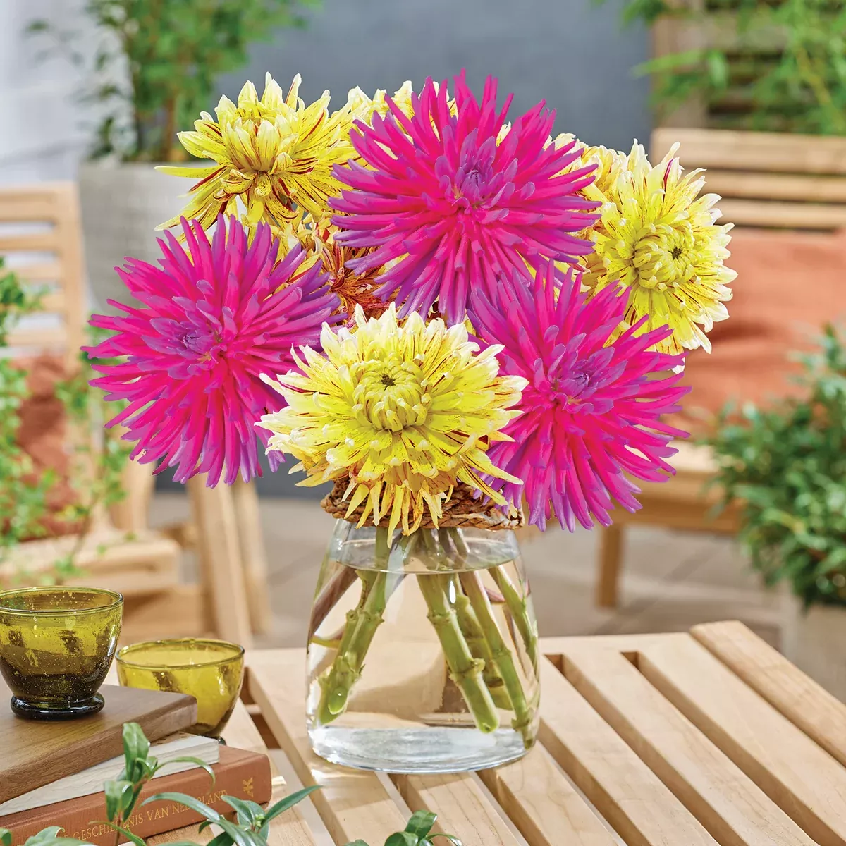 dahlia-noble-notes-blend Dahlia - Noble Notes Blend