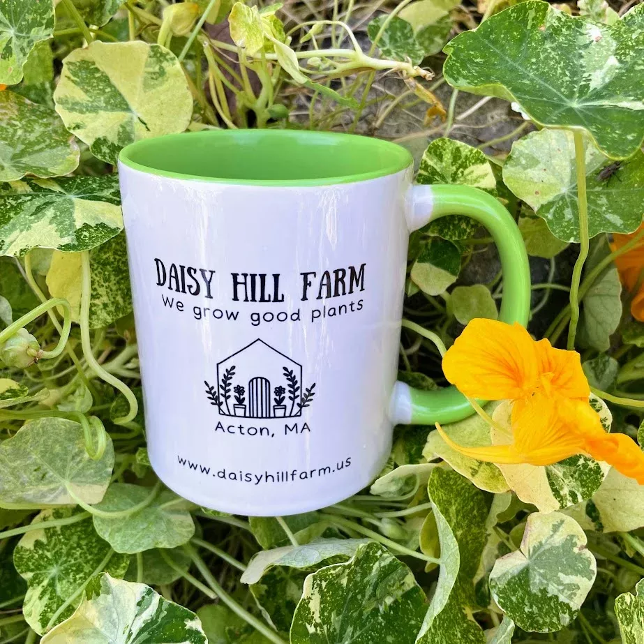 daisy-hill-farm-mug Daisy Hill Farm Mug