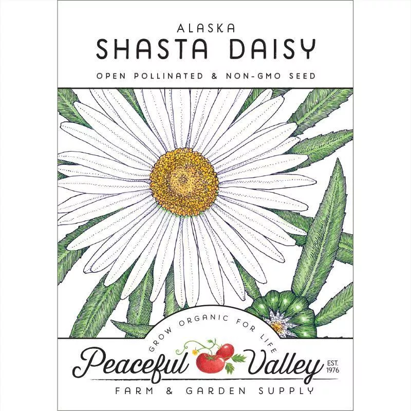 daisy-shasta-pack Daisy, Shasta (pack)