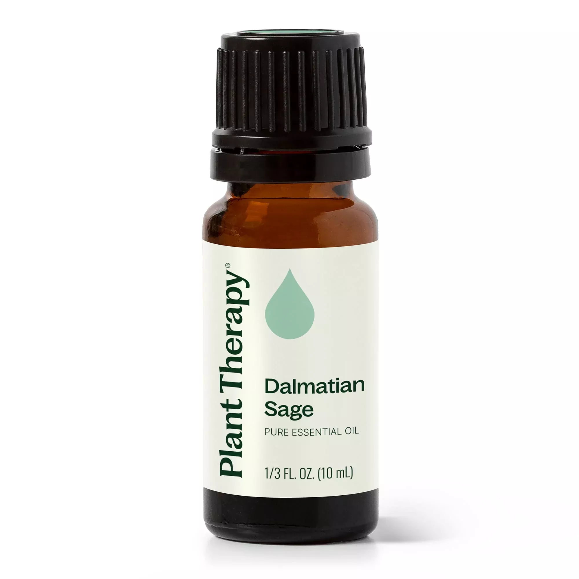 dalmatian-sage-essential-oil Dalmatian Sage Essential Oil