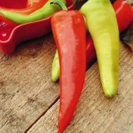 Dante's Pepper Seeds