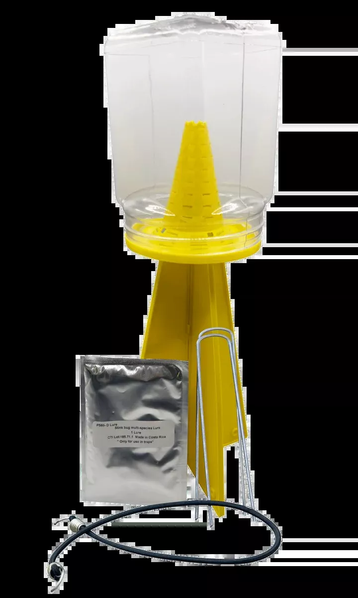 DEAD-INN Stink Bug Trap