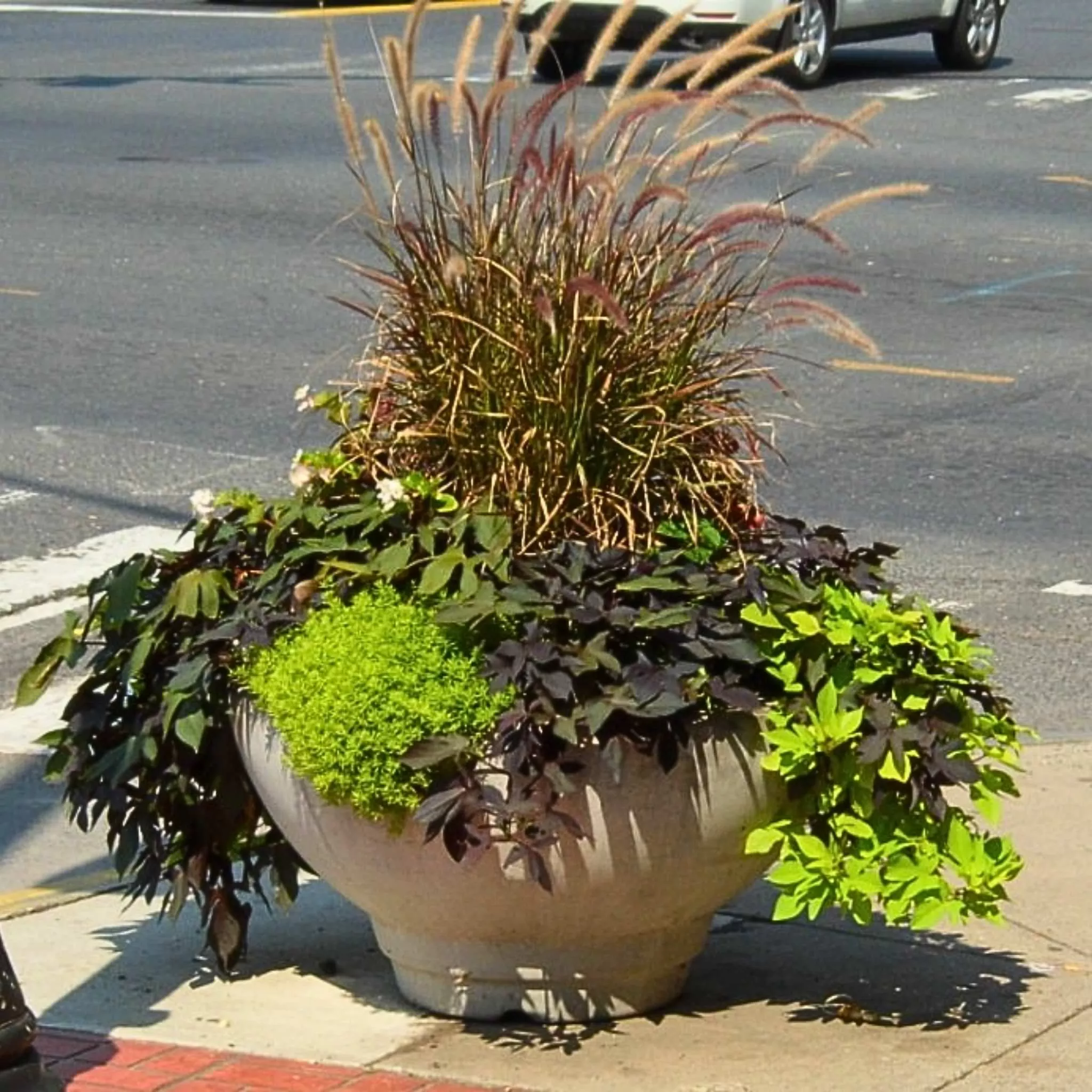 deco-3ft-concrete-bowl-planter-architectural-collection Deco 3FT Concrete Bowl Planter - Architectural Collection