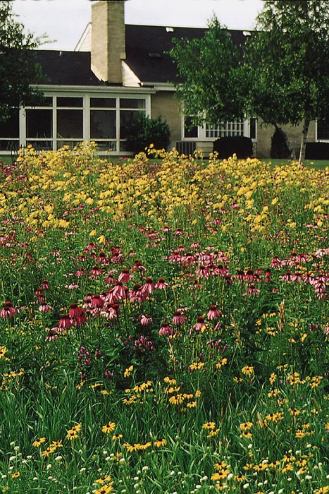 deer-resistant-loam-soil-mix Deer Resistant Loam Soil Mix
