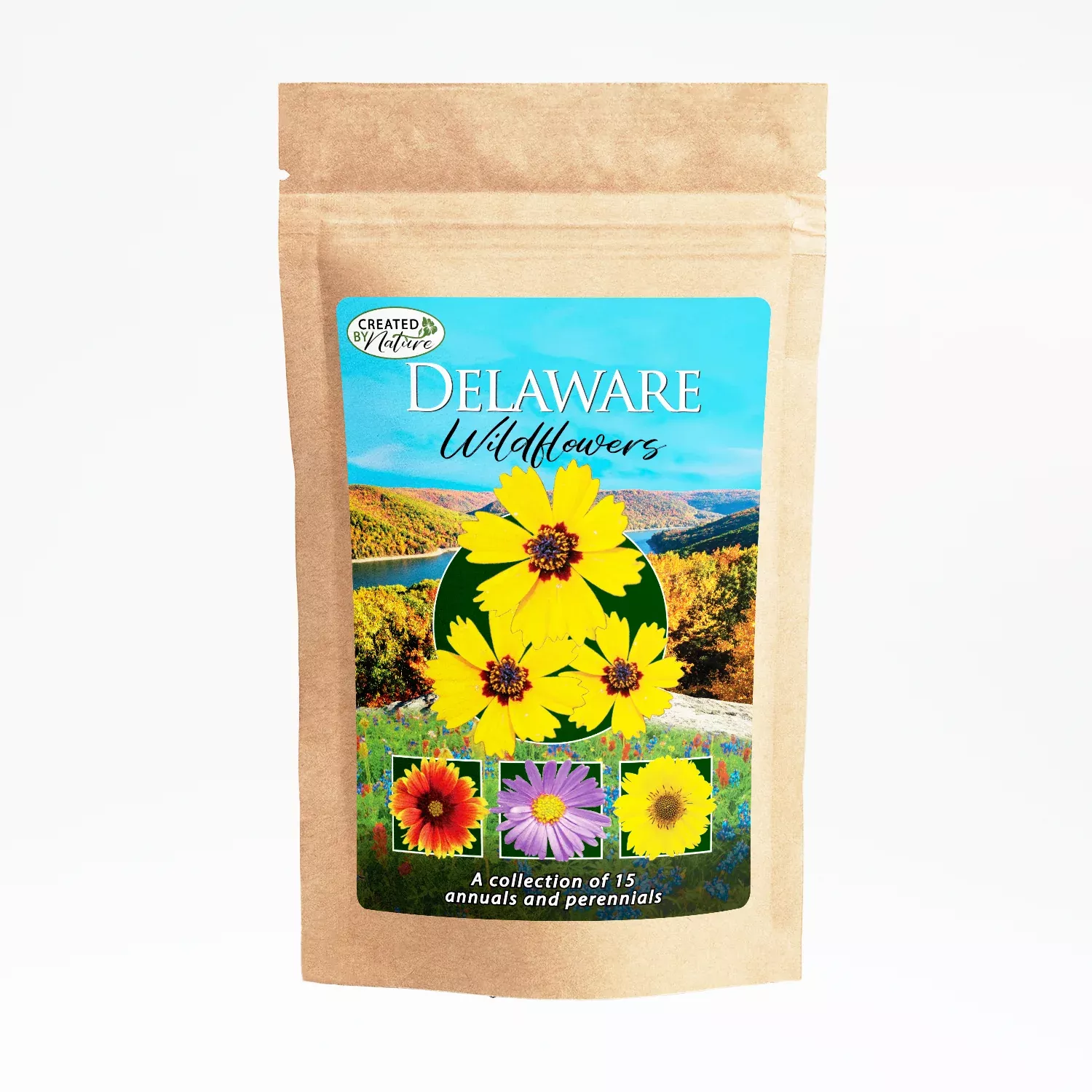Delaware Wildflower Seed Mix