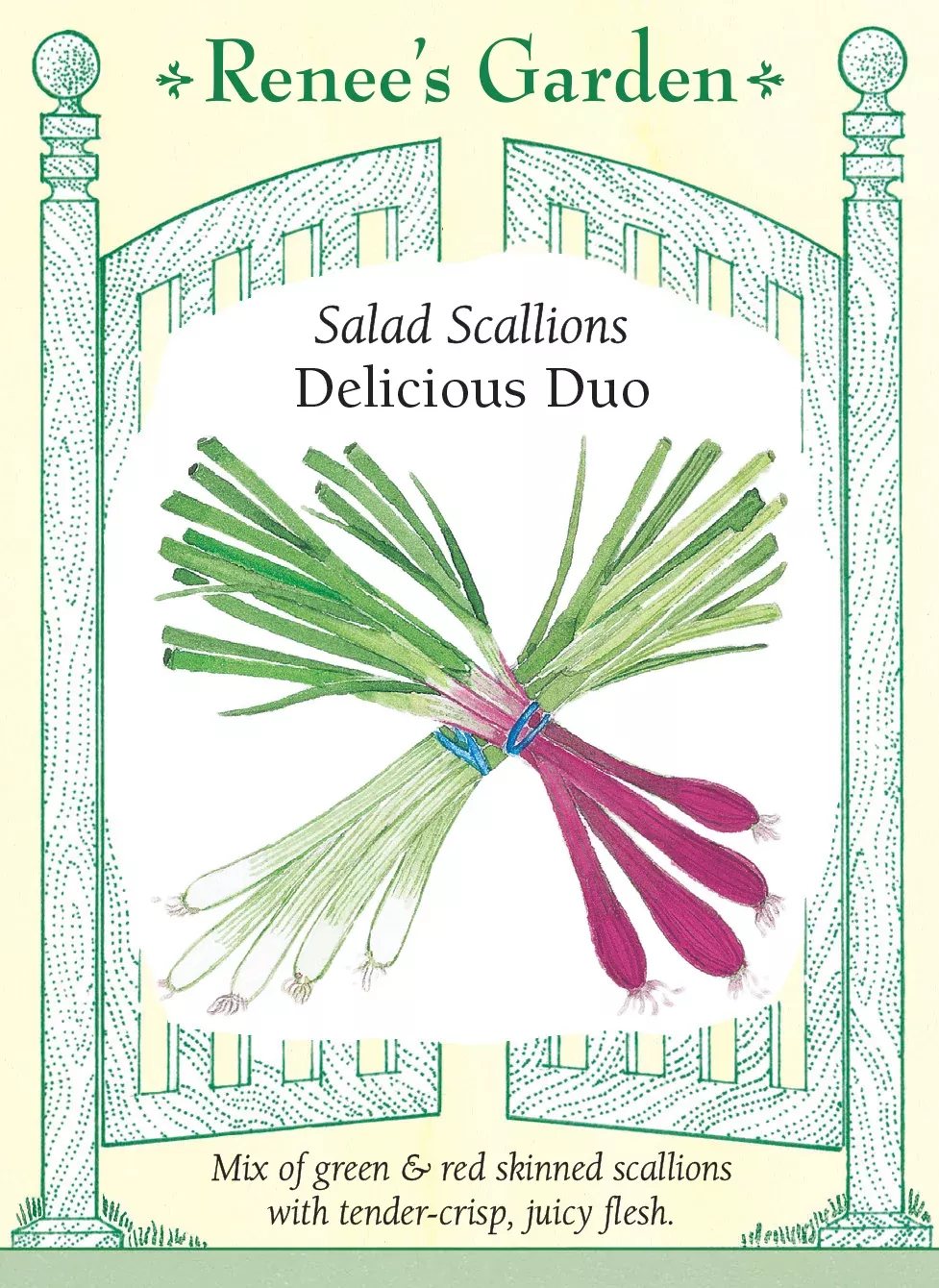 delicious-duo Delicious Duo