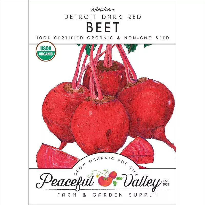 detroit-dark-red-beet-seeds-organic Detroit Dark Red Beet Seeds (Organic)