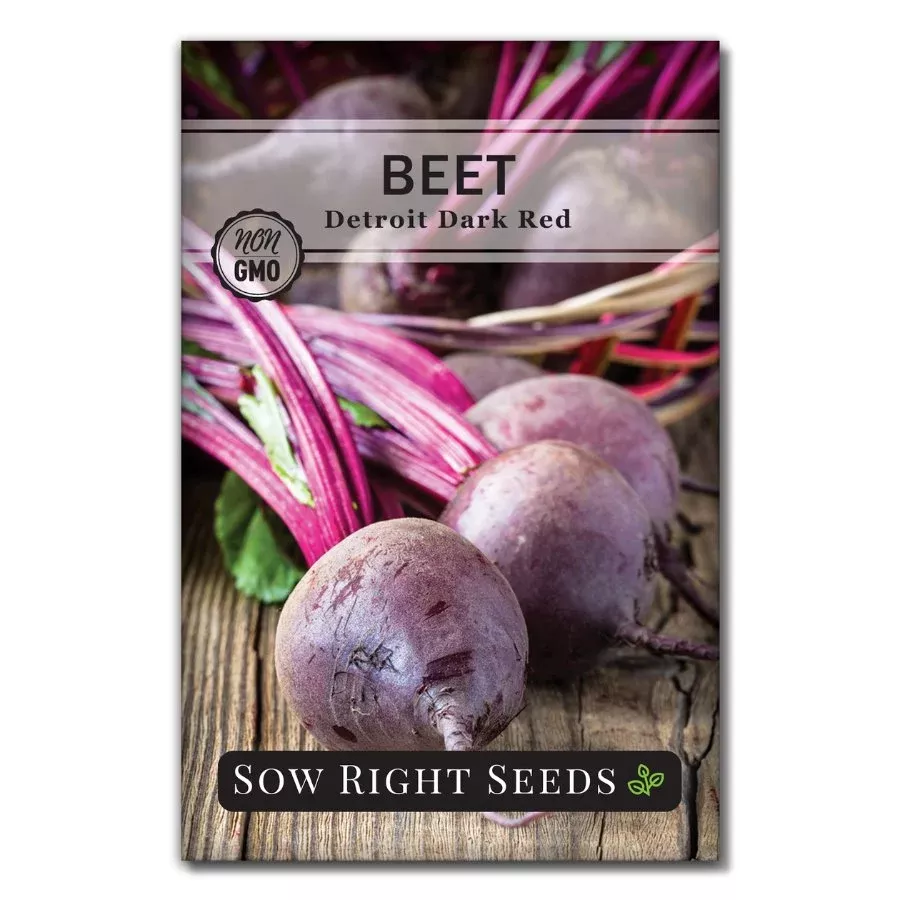 Detroit Dark Red Beet