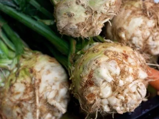 diamant-celeriac Diamant Celeriac