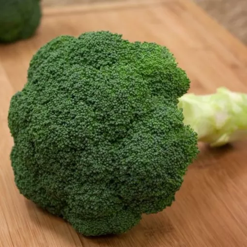 diamante-broccoli-seeds Diamante Broccoli Seeds