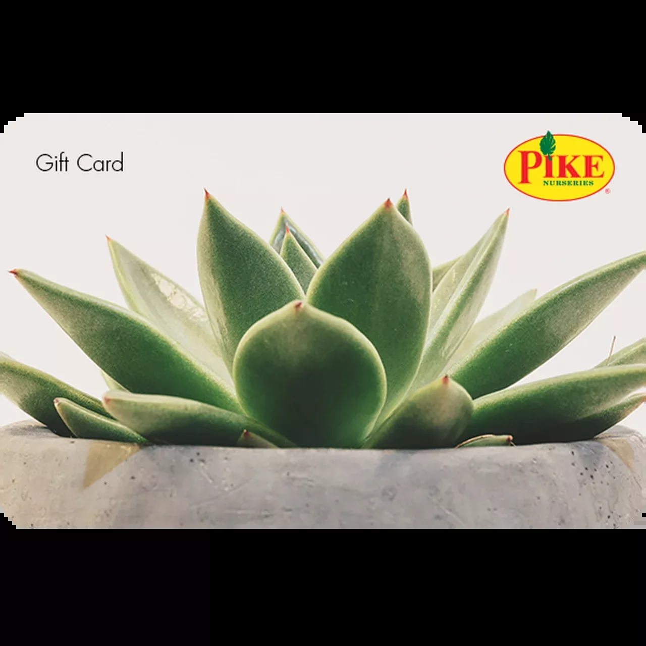 Digital Potted Succulent eGift Card