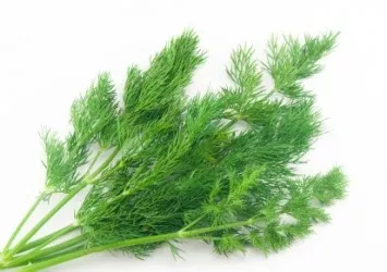 dill Dill
