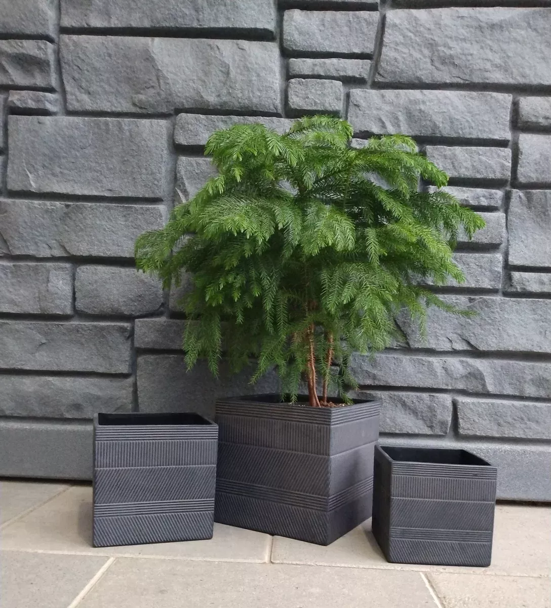 dillon-square-planter-black Dillon Square Planter - Black