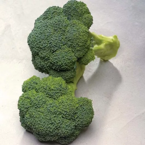 diplomat-broccoli-seeds Diplomat Broccoli Seeds