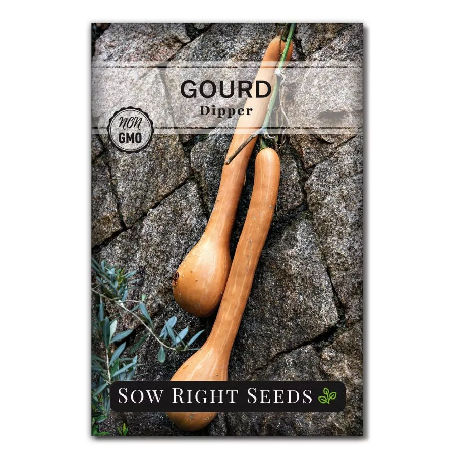 Dipper Gourd