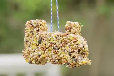 DIY Bird Feeder Kit