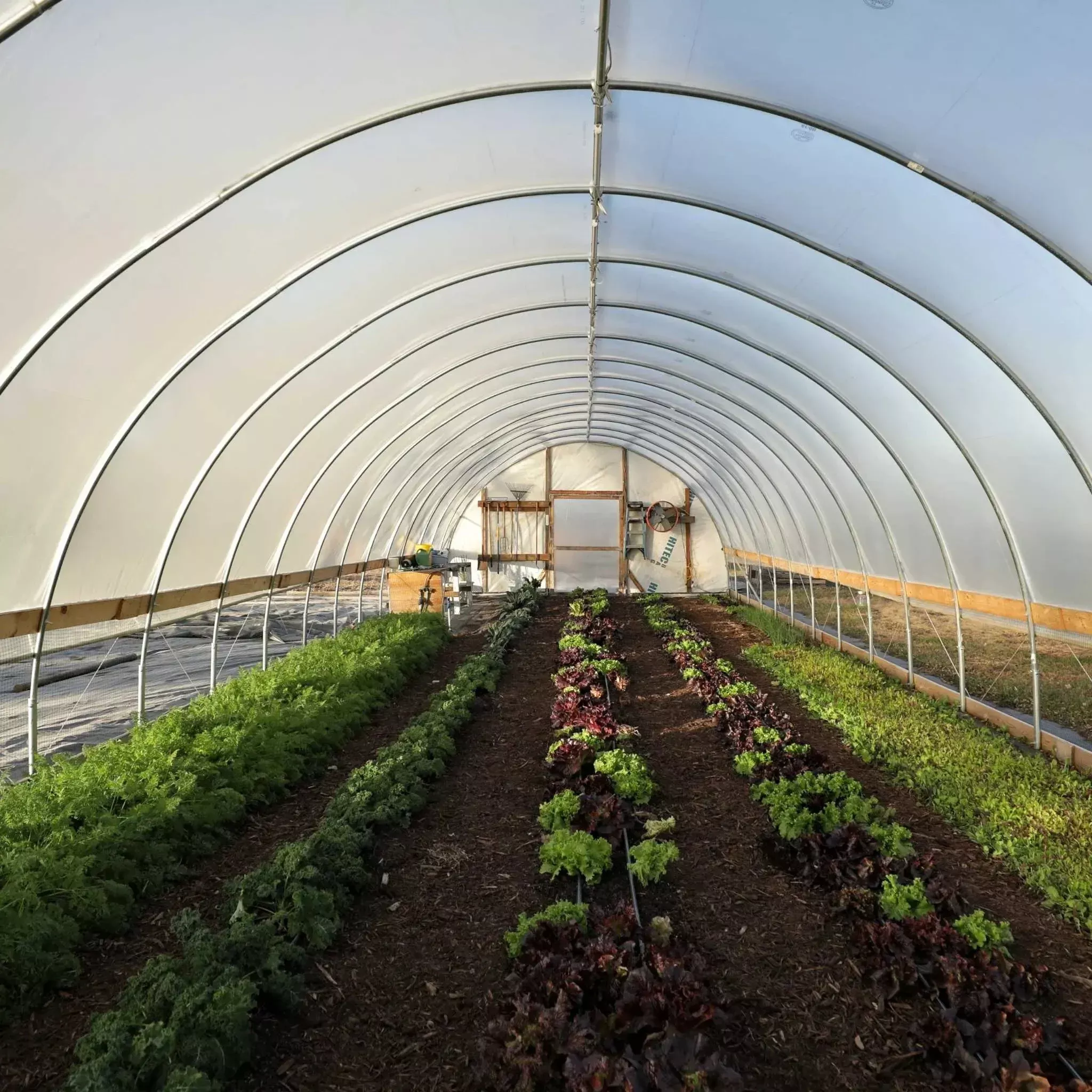 diy-greenhouse-kit-20-ft-wide-hoop-house DIY Greenhouse Kit - 20 ft Wide Hoop House