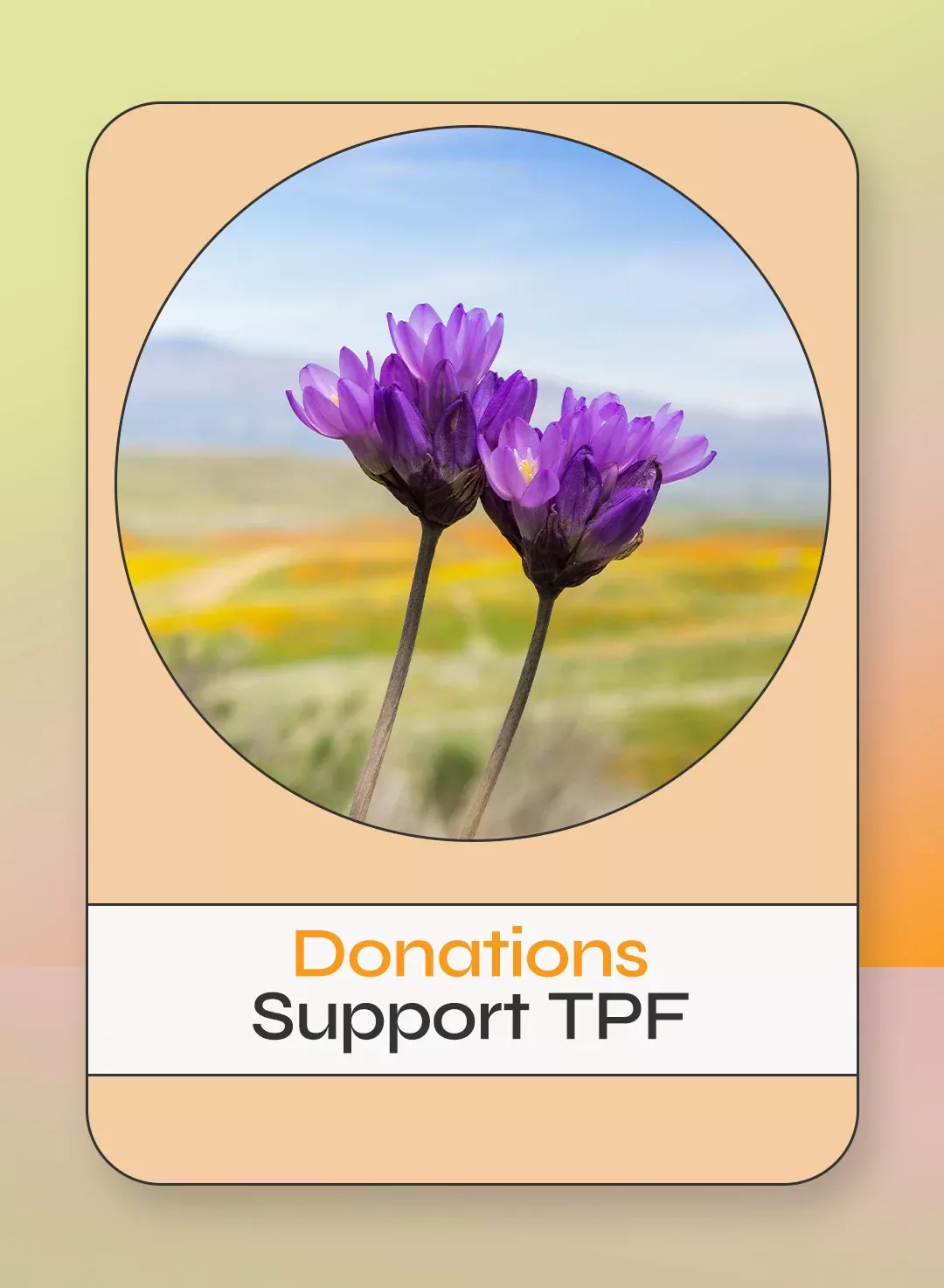 Donation