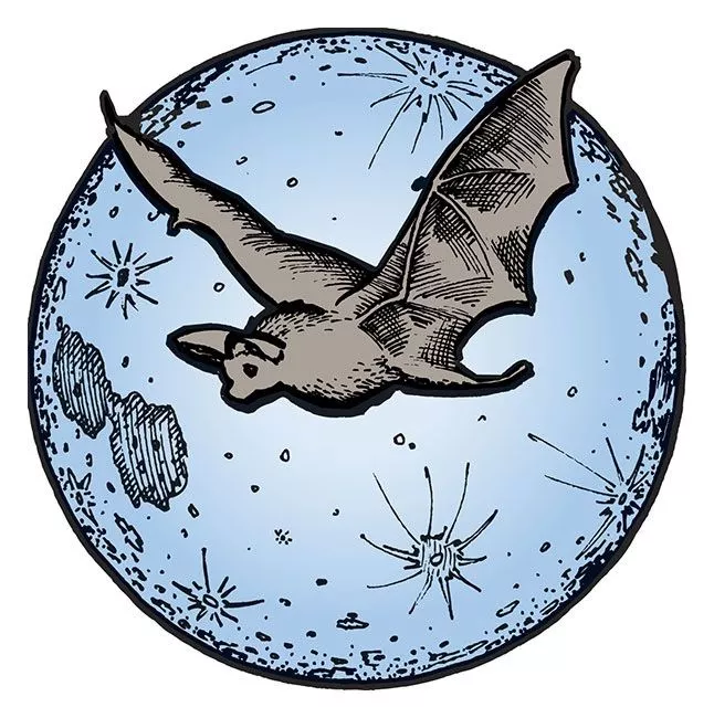 down-to-earth-bat-guano-7-3-1 Down to Earth™ Bat Guano 7-3-1
