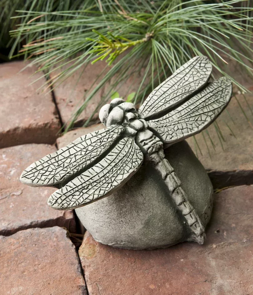 Dragonfly by Campania International