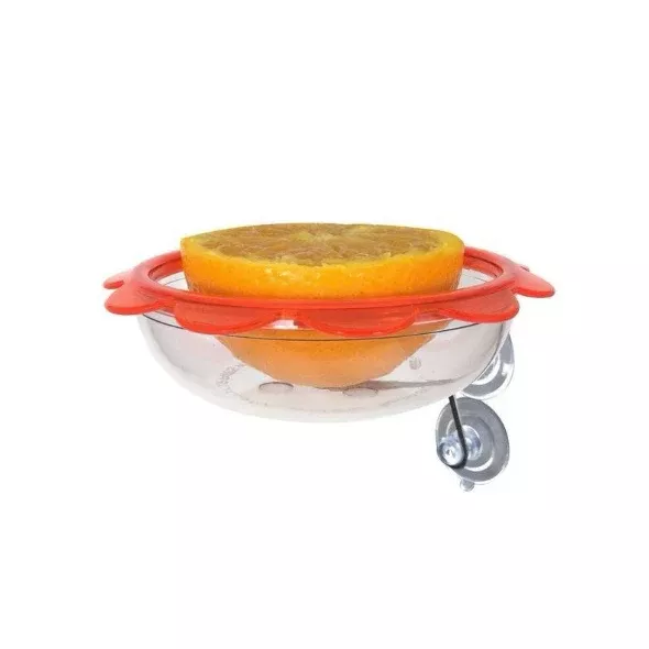 Droll Yankee Bo's Marmalade Widow Oriole Feeder