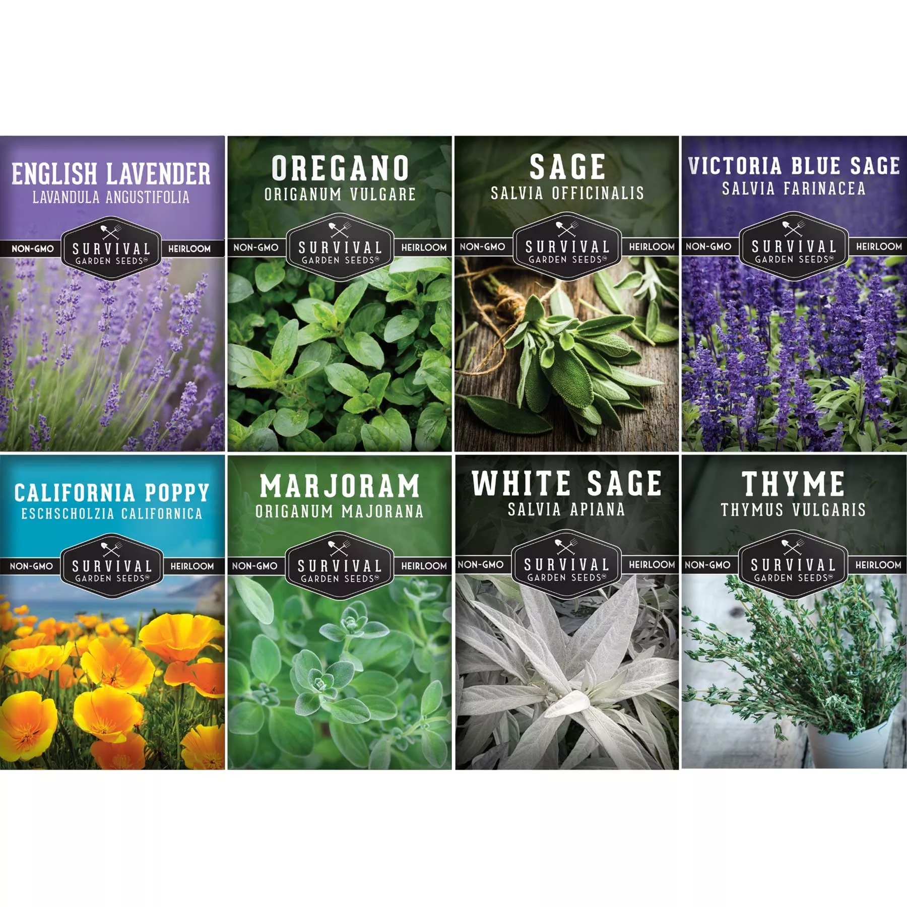 drought-tolerant-herb-flower-seed-kit-8-full-sun-xeriscape-friendly-varieties-lo Drought-Tolerant Herb & Flower Seed Kit – 8 Full-Sun, Xeriscape-Friendly Varieties for Low-Water Gardens