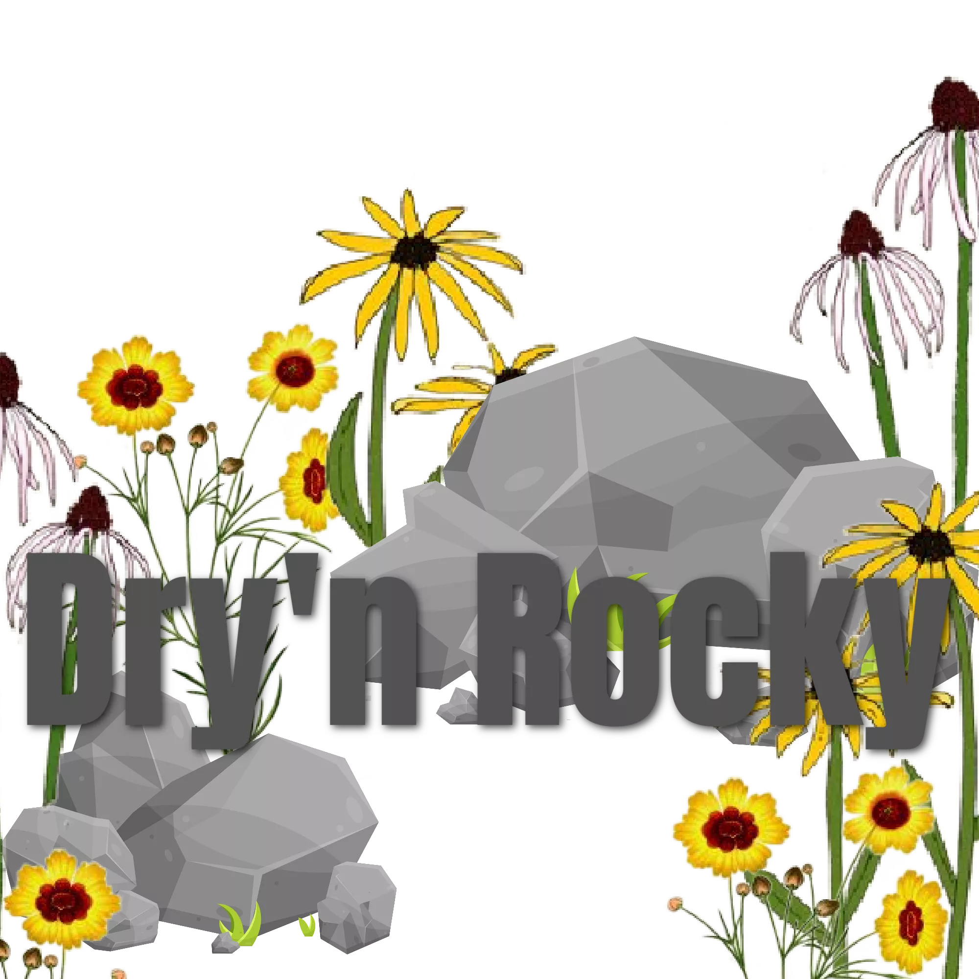 dry-n-rocky-mix Dry’n Rocky Mix