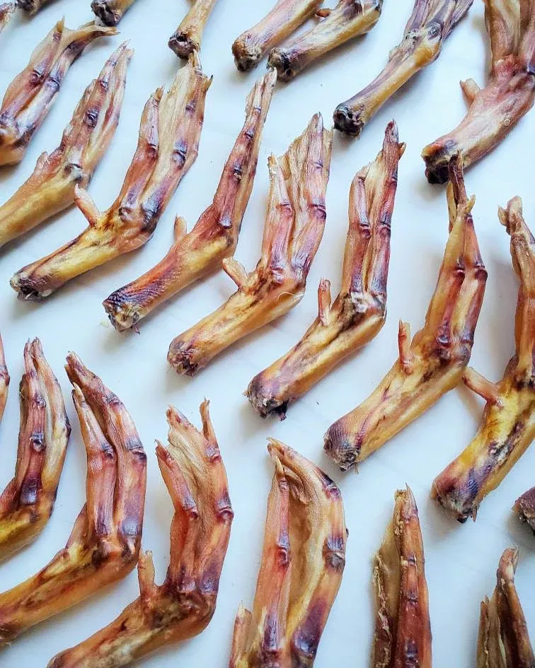duck-feet-abf Duck Feet (ABF)