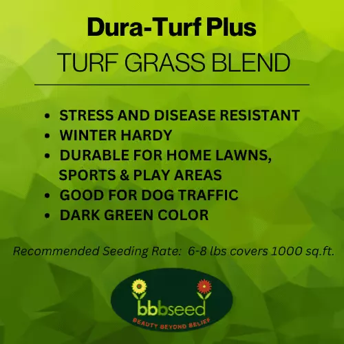 dura-turf-plus-grass-mix Dura-Turf Plus Grass Mix