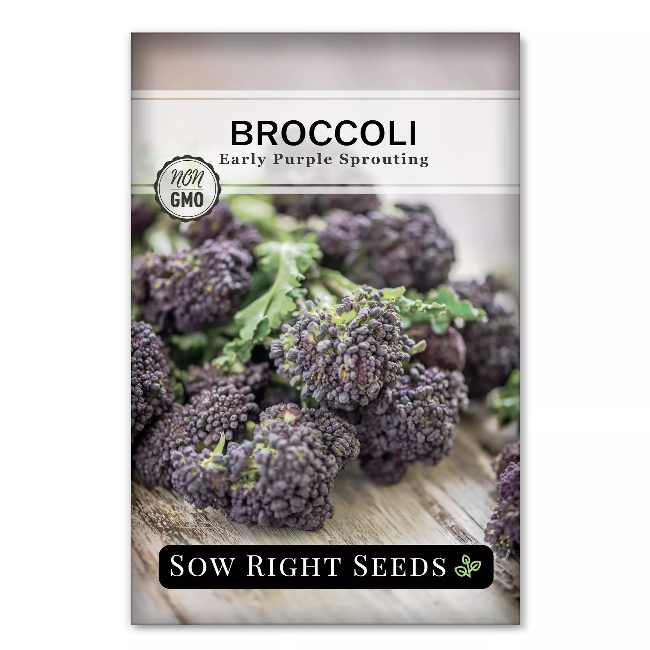 early-purple-sprouting-broccoli Early Purple Sprouting Broccoli