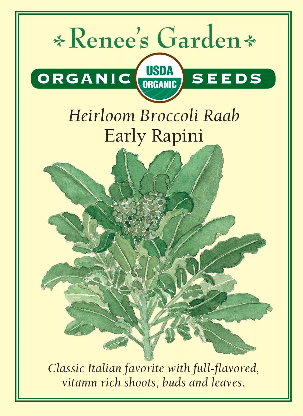 early-rapini-organic Early Rapini Organic