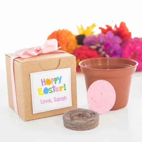 Easter Flower Garden Grow Kit