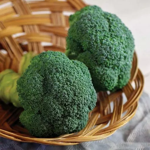 eastern-crown-broccoli-seeds Eastern Crown Broccoli Seeds