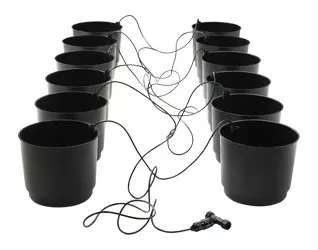 eco-growing-system-6-pack Eco Growing System 6/Pack