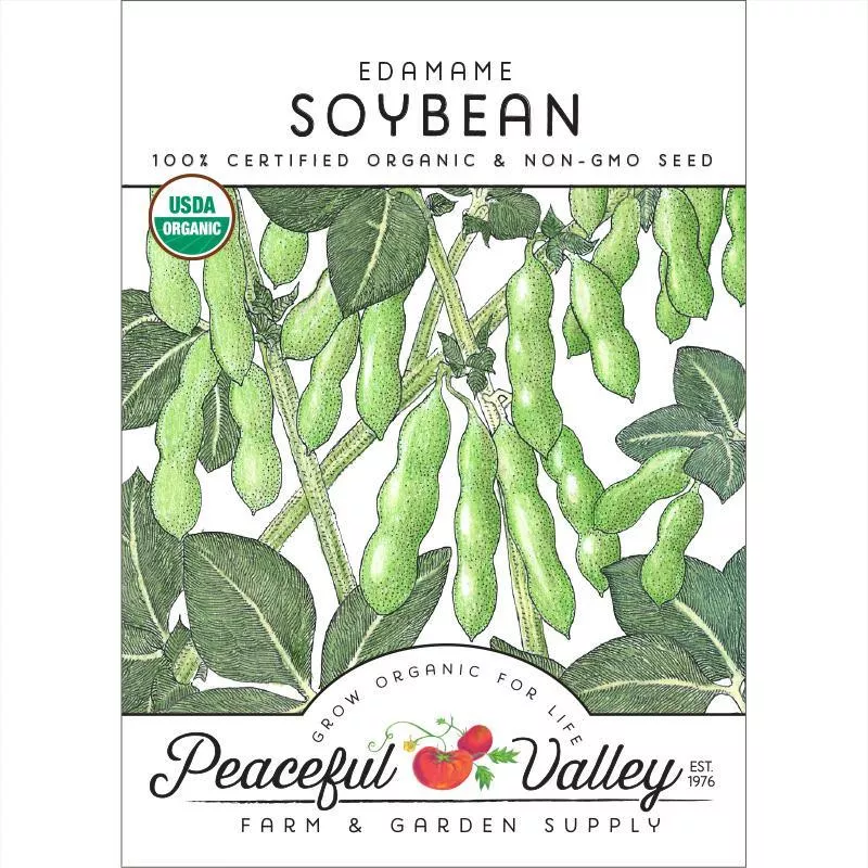 edamame-soybean-seeds-organic Edamame Soybean Seeds (Organic)