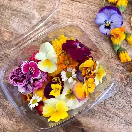 Edible Wildflower Blend Seed